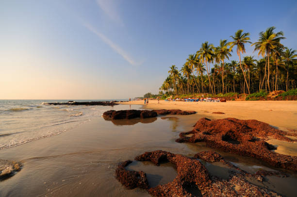 Farewell to Goa